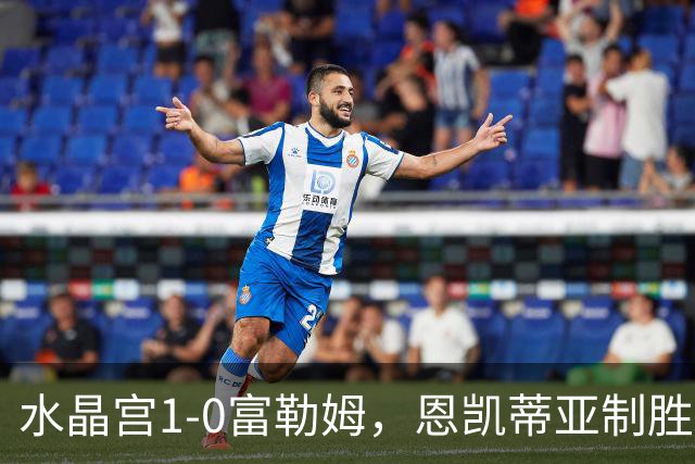 水晶宫1-0富勒姆，恩凯蒂亚制胜