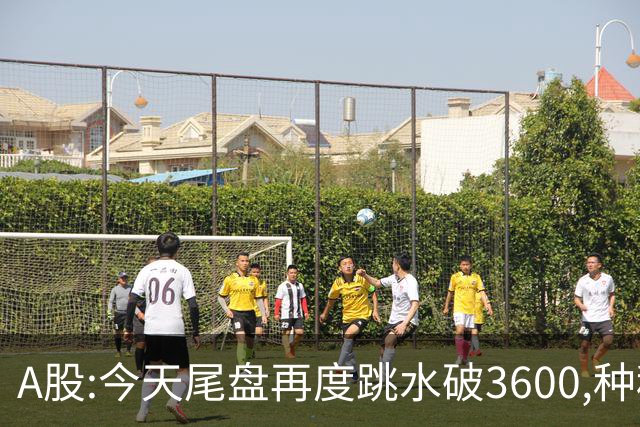 A股:今天尾盘再度跳水破3600,种种迹象表明,本轮调整或全面启动？